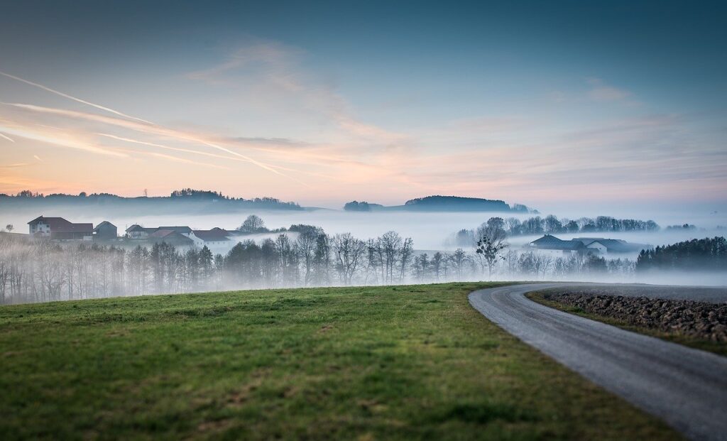 meadow, road, fog
