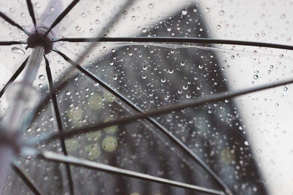 rain, umbrella, plastic