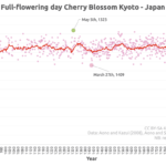 Ciliegi in fiore a Kyoto mai così presto in 1200 anni