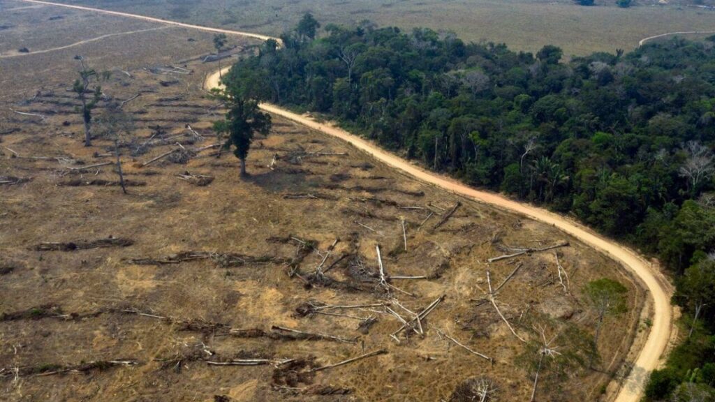 La Foresta Amazzonica ora emette CO2