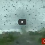 Un Tornado di Zanzare in Siberia