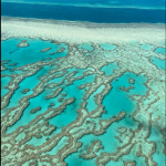 Australia: è sbiancato il 91% dei coralli della Grande barriera