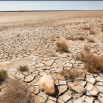 Crisi idrica: prendendo esempio dallo stato di Israele