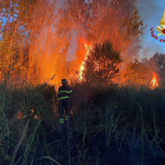 Incendi 2021: in Italia bruciati il triplo degli ettari del 2020