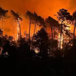 Incendi Giornate d’Inferno in varie zone della Penisola e in Europa.