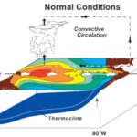 Che cos’è El Niño Southern Oscillation ENSO