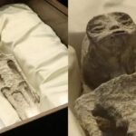 Presunti corpi alieni trovati in Messico. Dubbi sull’autenticità
