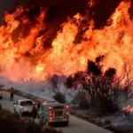 Maxi incendi devastano la California e il Nevada