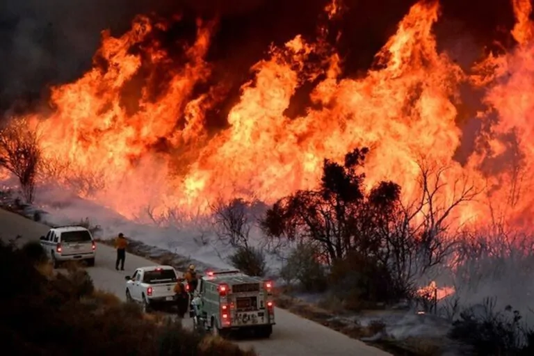 Maxi incendi devastano la California e il Nevada